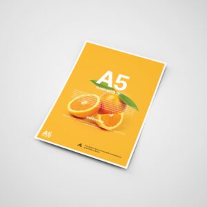 فلاير A5