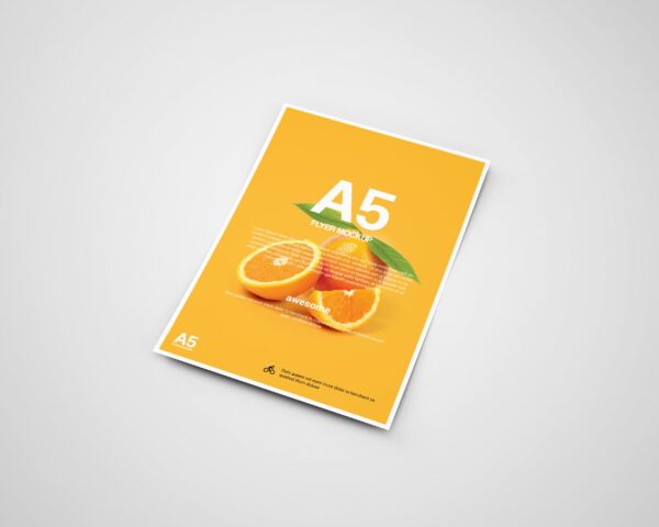 فلاير A5